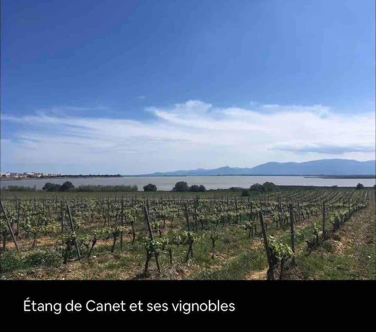 Coquet Appartement Canet-en-Roussillon Zewnętrze zdjęcie